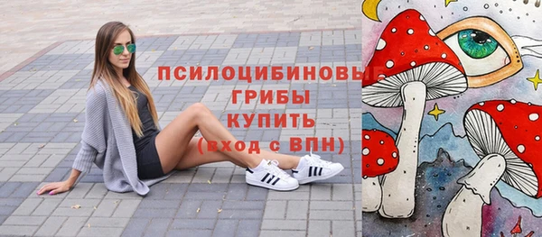 гидра Балахна