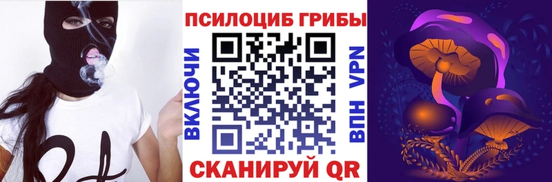 Псилоцибиновые грибы GOLDEN TEACHER Тихорецк