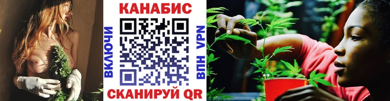 купить наркотик  мега маркетплейс  Каннабис марихуана  Тихорецк 